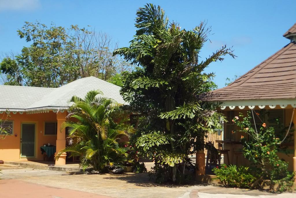 Pimento Lodge Resort Port Antonio Zewnętrze zdjęcie