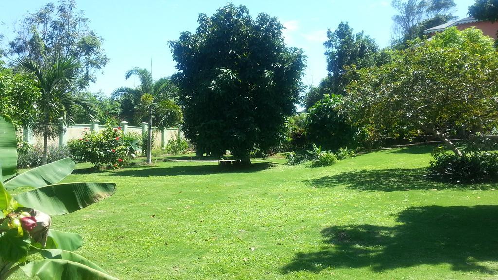 Pimento Lodge Resort Port Antonio Zewnętrze zdjęcie