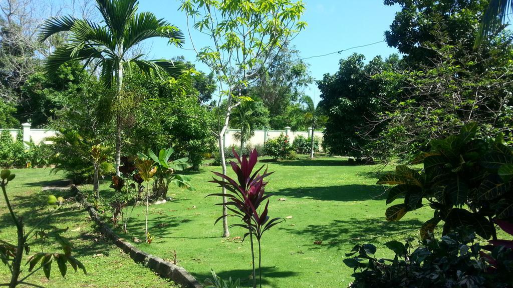 Pimento Lodge Resort Port Antonio Zewnętrze zdjęcie