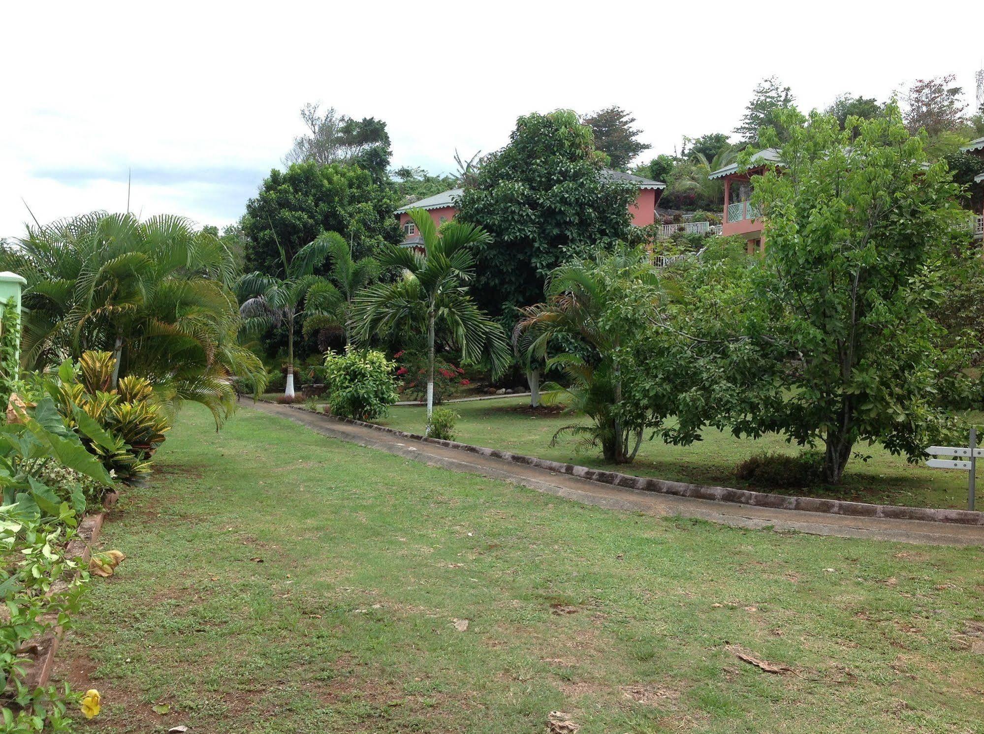 Pimento Lodge Resort Port Antonio Zewnętrze zdjęcie